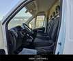 Fiat Ducato 35 2.3 MJT 140CV PLM-SL-TM Furgone Weiß - thumbnail 13