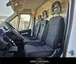 Fiat Ducato 35 2.3 MJT 140CV PLM-SL-TM Furgone Weiß - thumbnail 14