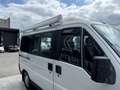 Fiat DUCATO Camperbus Weiß - thumbnail 5