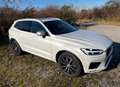 Volvo XC60 XC60 D5 R-Design AWD Geartronic R-Design Weiß - thumbnail 1
