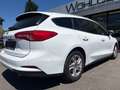 Ford Focus Cool Weiß - thumbnail 4