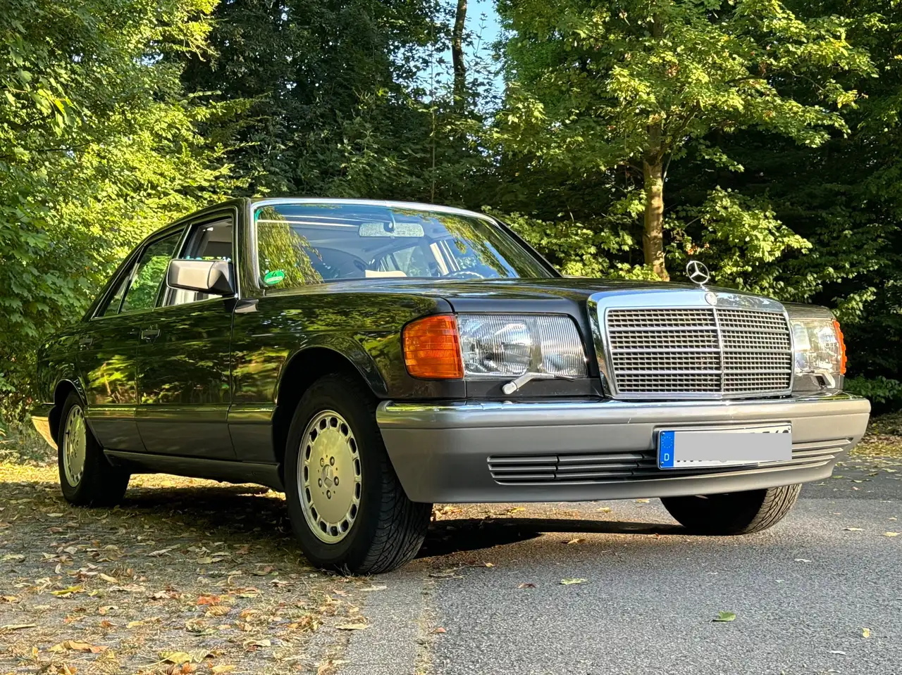 Mercedes-Benz S 560 560 SE, foto 4