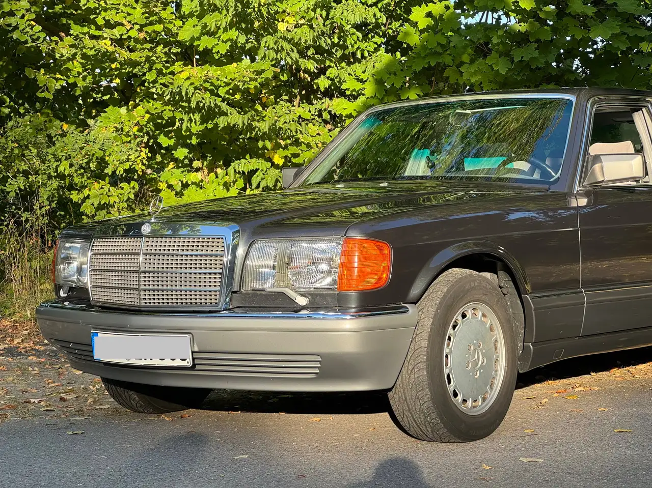 Mercedes-Benz S 560 560 SE, foto 2