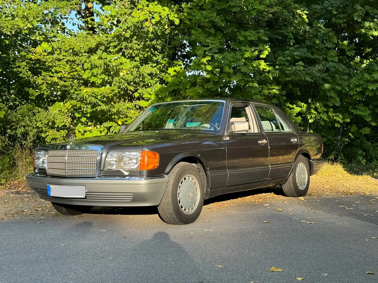 Mercedes-Benz S 560 560 SE, foto 6
