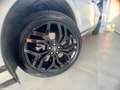 Land Rover Range Rover Evoque Range Rover Evoque 2.0 td4 HSE Dynamic 150cv auto Bianco - thumbnail 12