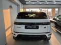Land Rover Range Rover Evoque Range Rover Evoque 2.0 td4 HSE Dynamic 150cv auto Bianco - thumbnail 5