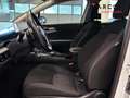 Kia Sportage 1.6 T-GDi HEV 171kW (230CV) Drive 4x2 Blanco - thumbnail 5