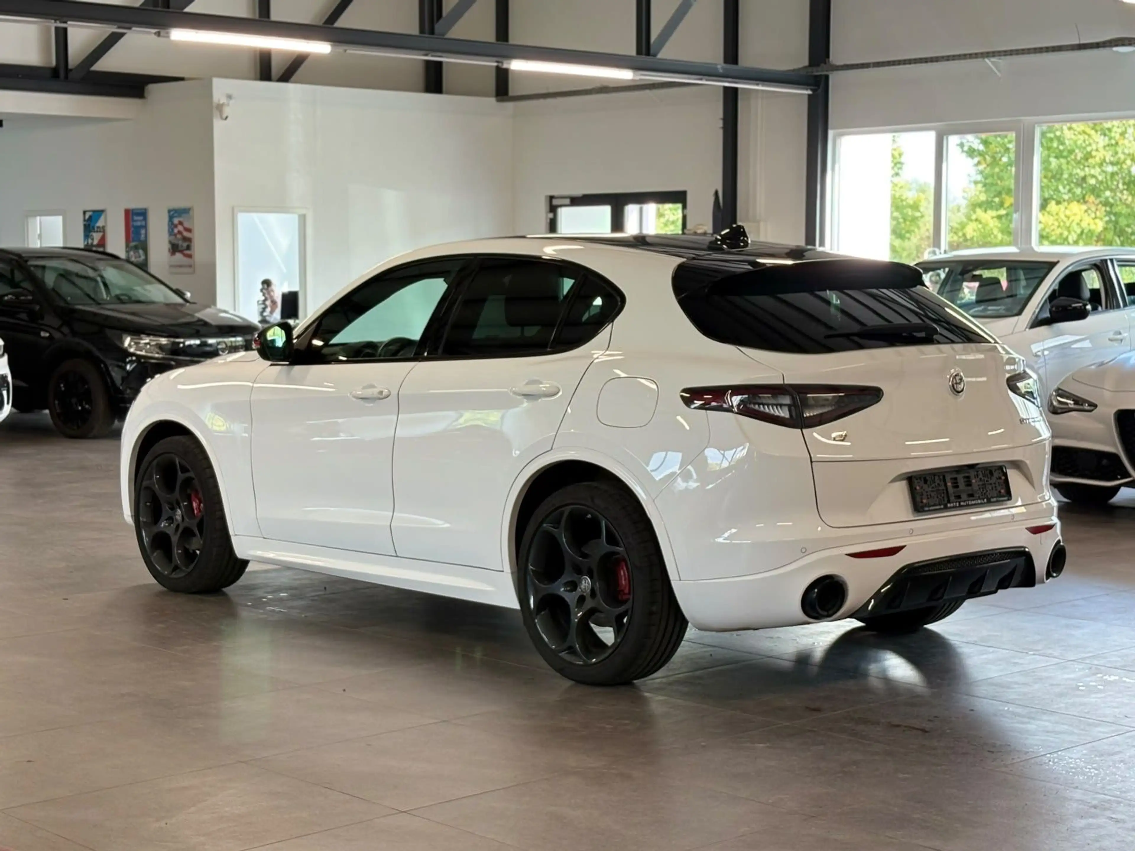 Alfa Romeo Stelvio Tributo ItalianoQ4 MATRX+H&K+MEMO+WINTER — photo 4