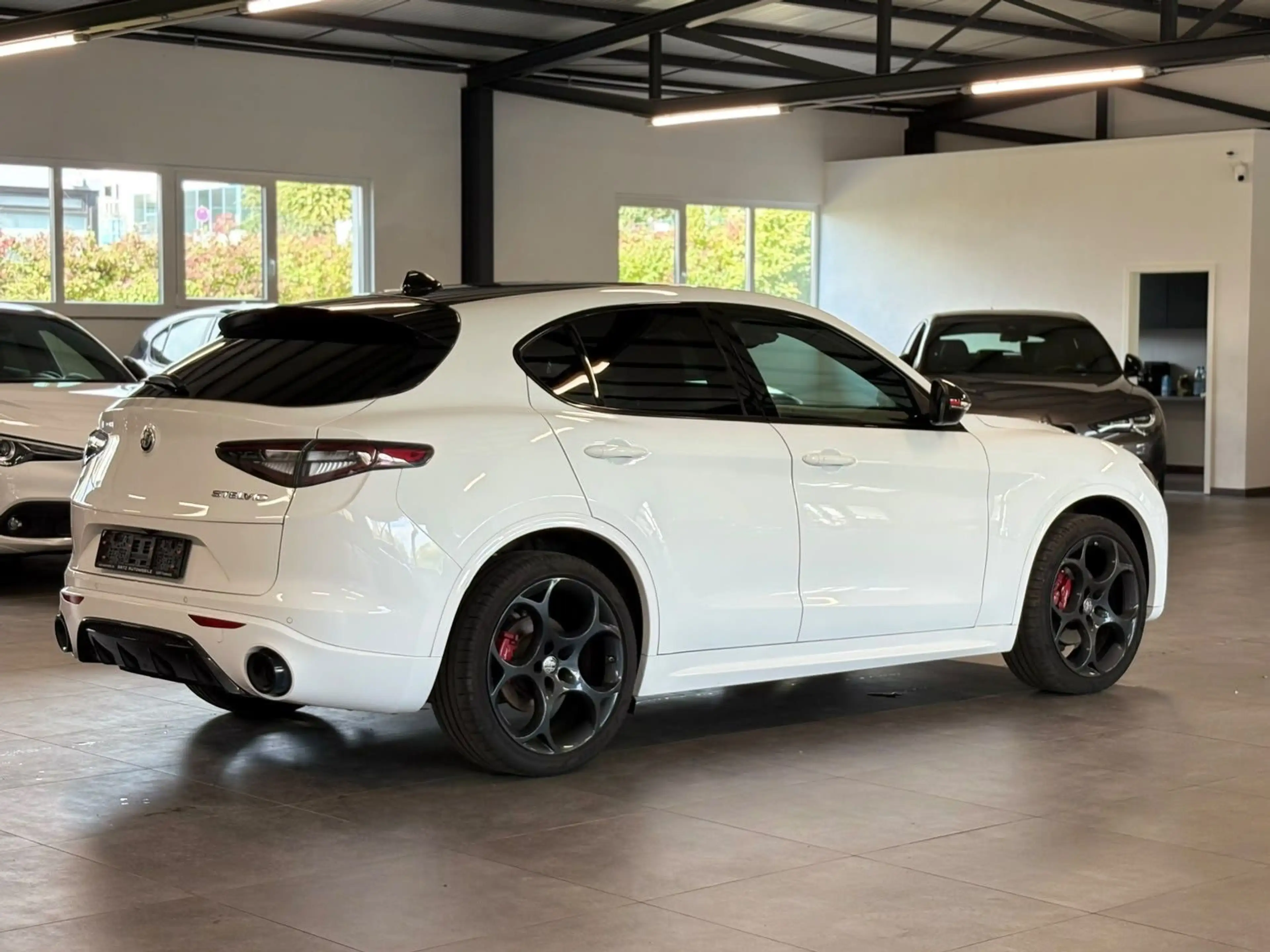 Alfa Romeo Stelvio Tributo ItalianoQ4 MATRX+H&K+MEMO+WINTER — photo 6