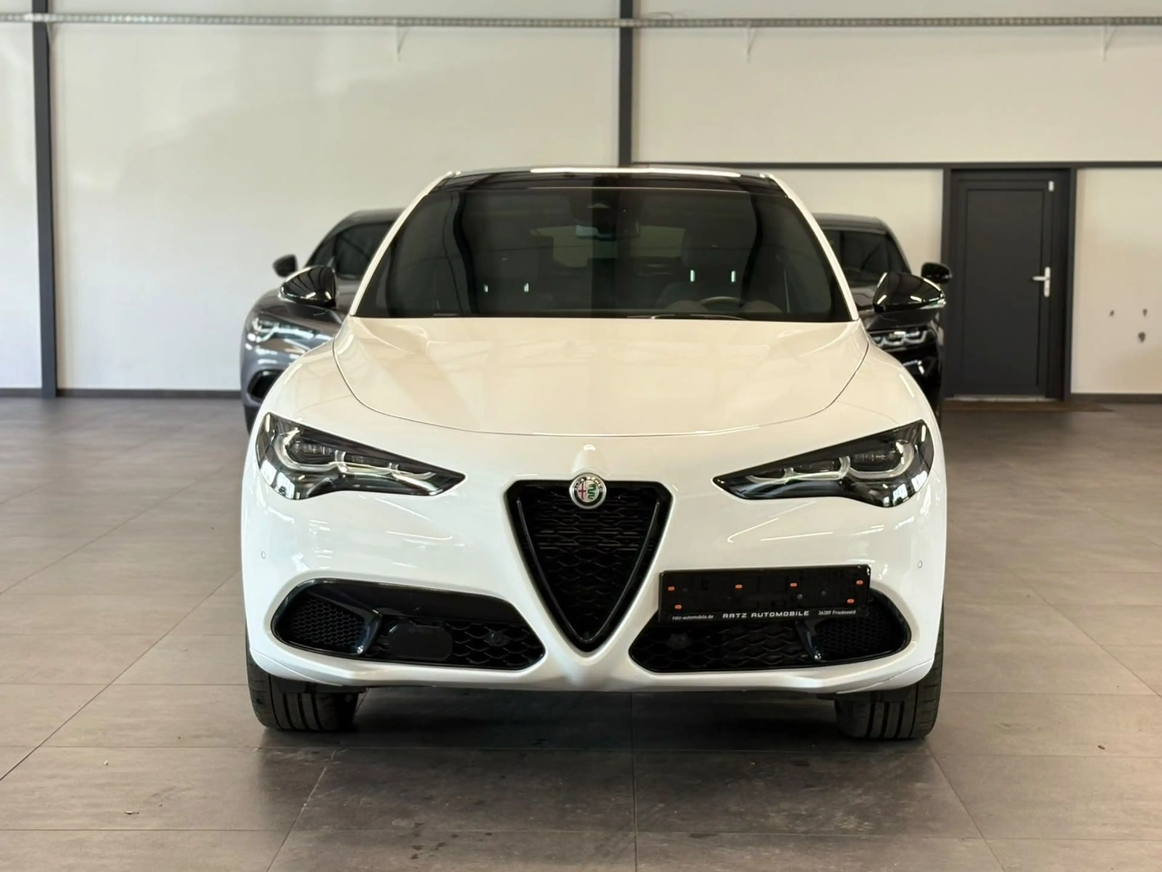 Alfa Romeo Stelvio Tributo ItalianoQ4 MATRX+H&K+MEMO+WINTER — photo 2