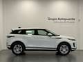 Land Rover Range Rover Evoque AUTO Blanc - thumbnail 2