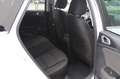 Kia Ceed SW / cee'd SW ceed SW 1,6 CRDi SCR ISG Silber Weiß - thumbnail 12