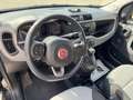 Fiat Panda 1.2 Lounge 69cv Чорний - thumbnail 8