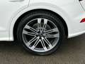 Audi Q5 3.0 TFSI SQ5 quattro Pro Line Plus Head Up|21" All Blanc - thumbnail 5