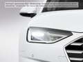 Audi A4 advanced 30 TDI 100(136) kW(PS) S troni Weiß - thumbnail 6