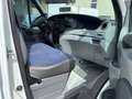 Iveco Daily 35 C12*LBW DHOLLANDIA*Xarios 200* Blanc - thumbnail 9