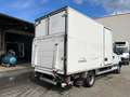 Iveco Daily 35 C12*LBW DHOLLANDIA*Xarios 200* Blanc - thumbnail 5