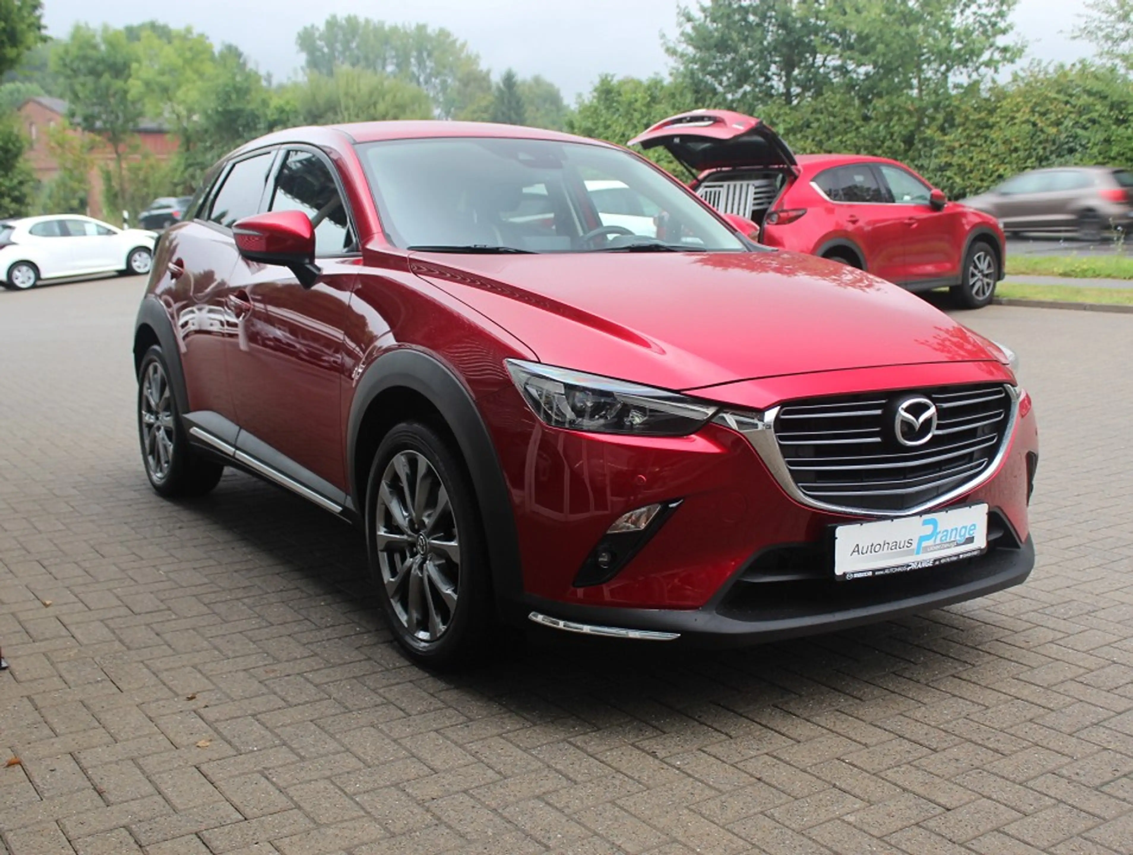 Mazda CX-3 G-121 AT Kangei NAPPA el.Sitzv. HUD RFK LED — photo 6
