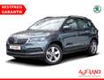 Skoda Karoq 1.5 TSI Soleil LED Sitzheizung Keyless Gris - thumbnail 1
