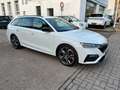 Skoda Octavia Combi RS Plus 2.0TDI 4x4 147kW 7Gang-DSG Weiß - thumbnail 7