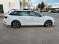 Skoda Octavia Combi RS Plus 2.0TDI 4x4 147kW 7Gang-DSG Weiß - thumbnail 6