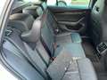 Skoda Octavia Combi RS Plus 2.0TDI 4x4 147kW 7Gang-DSG Weiß - thumbnail 22