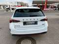 Skoda Octavia Combi RS Plus 2.0TDI 4x4 147kW 7Gang-DSG Weiß - thumbnail 4