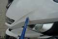 BMW R 1250 RT TVA récup. - Garantie - #flatwinmotos Blanc - thumbnail 25
