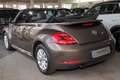 Volkswagen New Beetle Cabriolet Design 1.2 TSI , Leder, Alu u Brun - thumbnail 4