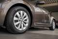 Volkswagen New Beetle Cabriolet Design 1.2 TSI , Leder, Alu u Brun - thumbnail 5