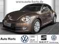 Volkswagen New Beetle Cabriolet Design 1.2 TSI , Leder, Alu u Brun - thumbnail 1