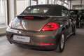 Volkswagen New Beetle Cabriolet Design 1.2 TSI , Leder, Alu u Brun - thumbnail 3