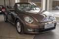 Volkswagen New Beetle Cabriolet Design 1.2 TSI , Leder, Alu u Brun - thumbnail 2