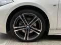BMW 118 118dA Business Blanc - thumbnail 29