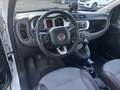 Fiat Panda 1.3 mjt 16v Cross 4x4 s&s 95cv - thumbnail 5