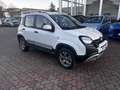 Fiat Panda 1.3 mjt 16v Cross 4x4 s&s 95cv - thumbnail 2