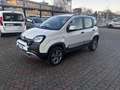 Fiat Panda 1.3 mjt 16v Cross 4x4 s&s 95cv - thumbnail 1