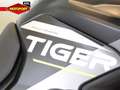 Triumph Tiger 900 RALLY ARAGON Wit - thumbnail 9