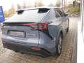 Subaru Solterra Platinum Plus mit 8 Jahren Garantie bis 160.000 km Grau - thumbnail 6