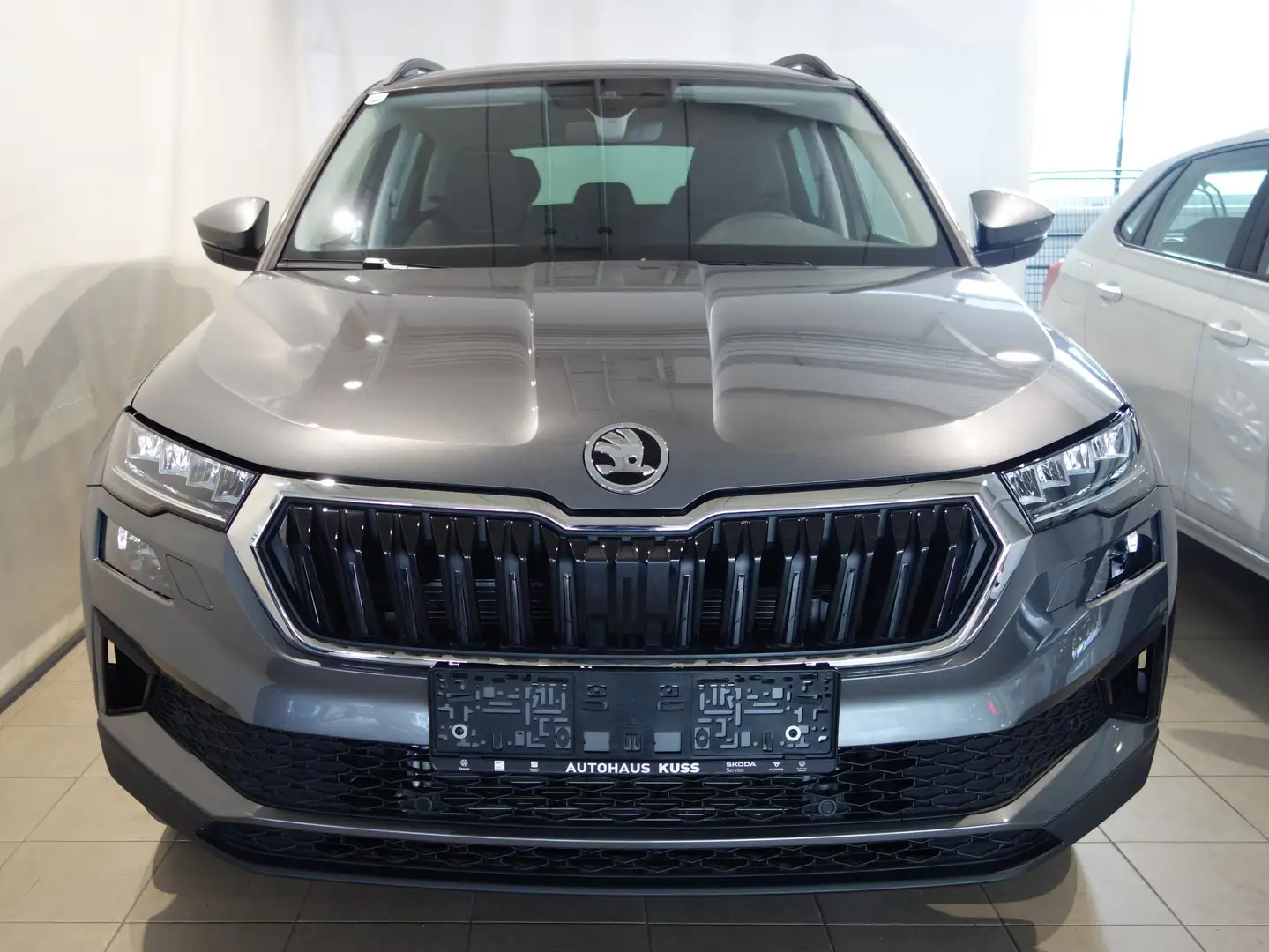 Skoda Karoq 4x4 Selection TDI DSG Grau - 2