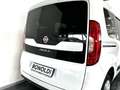 Fiat Doblo 1.6 MJT 16V 95CV Lounge 7 Posti Neopatentati Blanc - thumbnail 7