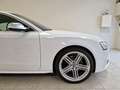 Audi A5 A5 Sportback 2.0 tdi Ad 177cv multitronic s line Blanc - thumbnail 5