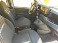 Fiat Panda PANDINO my25 1.0 cv hybrid panda Bianco - thumbnail 9