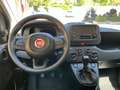 Fiat Panda PANDINO my25 1.0 cv hybrid panda Bianco - thumbnail 7