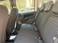 Fiat Panda PANDINO my25 1.0 cv hybrid panda Bianco - thumbnail 10