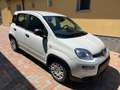 Fiat Panda PANDINO my25 1.0 cv hybrid panda Bianco - thumbnail 3
