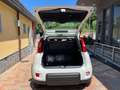 Fiat Panda PANDINO my25 1.0 cv hybrid panda Bianco - thumbnail 12