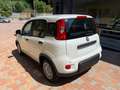 Fiat Panda PANDINO my25 1.0 cv hybrid panda Bianco - thumbnail 4