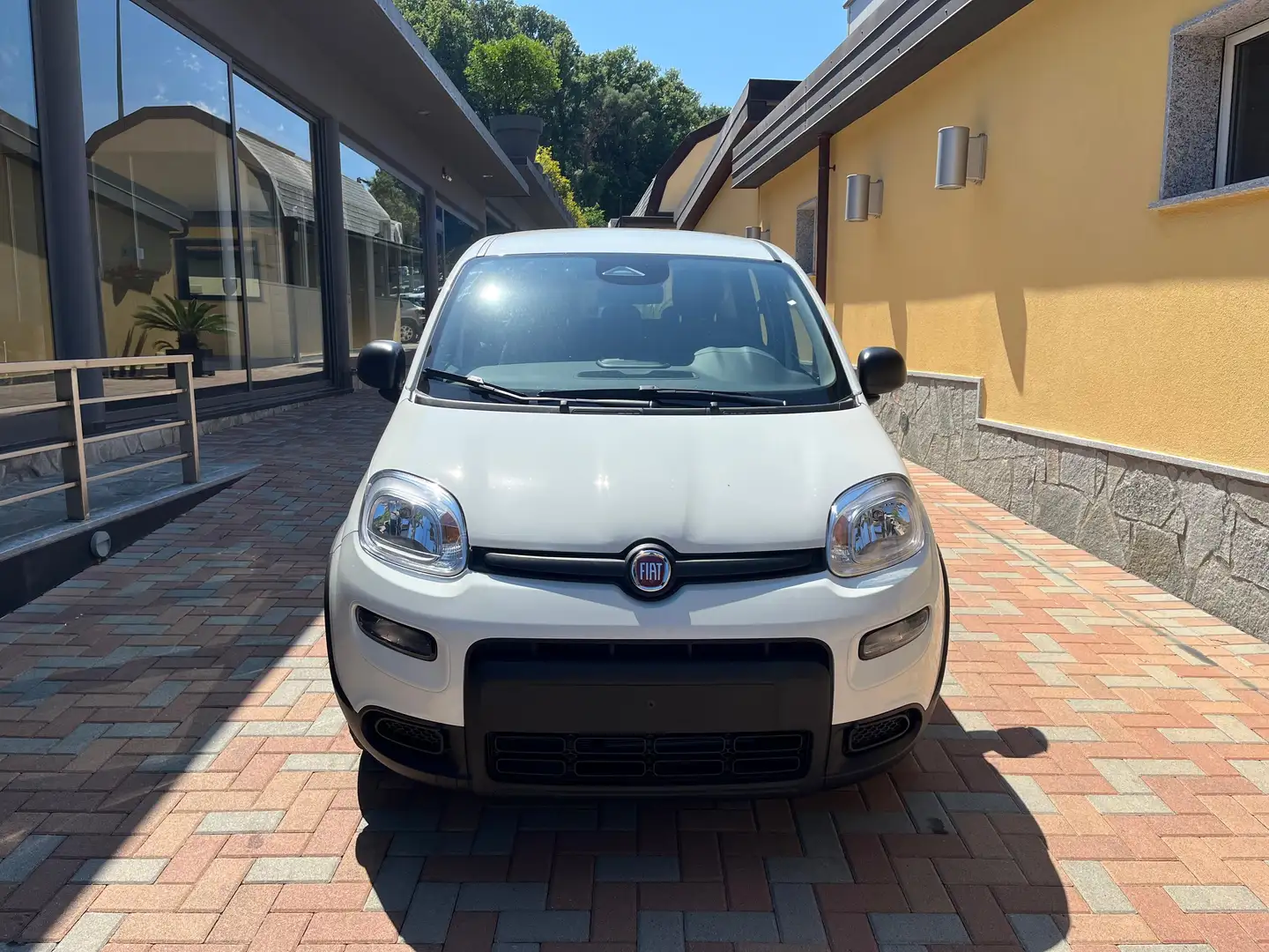 Fiat Panda PANDINO my25 1.0 cv hybrid panda Bianco - 2