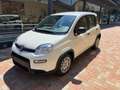 Fiat Panda PANDINO my25 1.0 cv hybrid panda Bianco - thumbnail 1